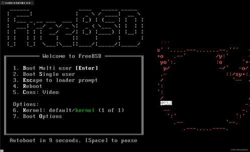 虛擬化與實體 FreeBSD UNIX系統在VMware上的安裝與建筑物電力系統安裝的對比