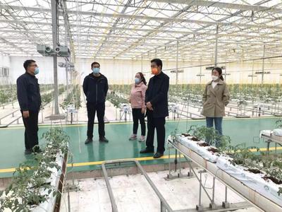 科技興農促發展，服務先行助振興——記山西農業大學專家團隊赴太谷區開展技術指導